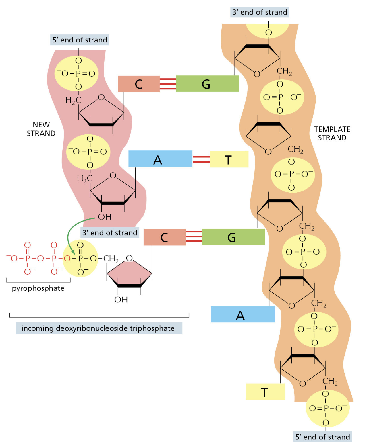Figure 5-3.png
